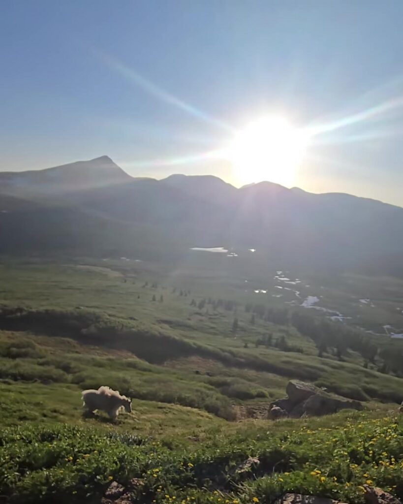 Sun rising over a green mountain valley