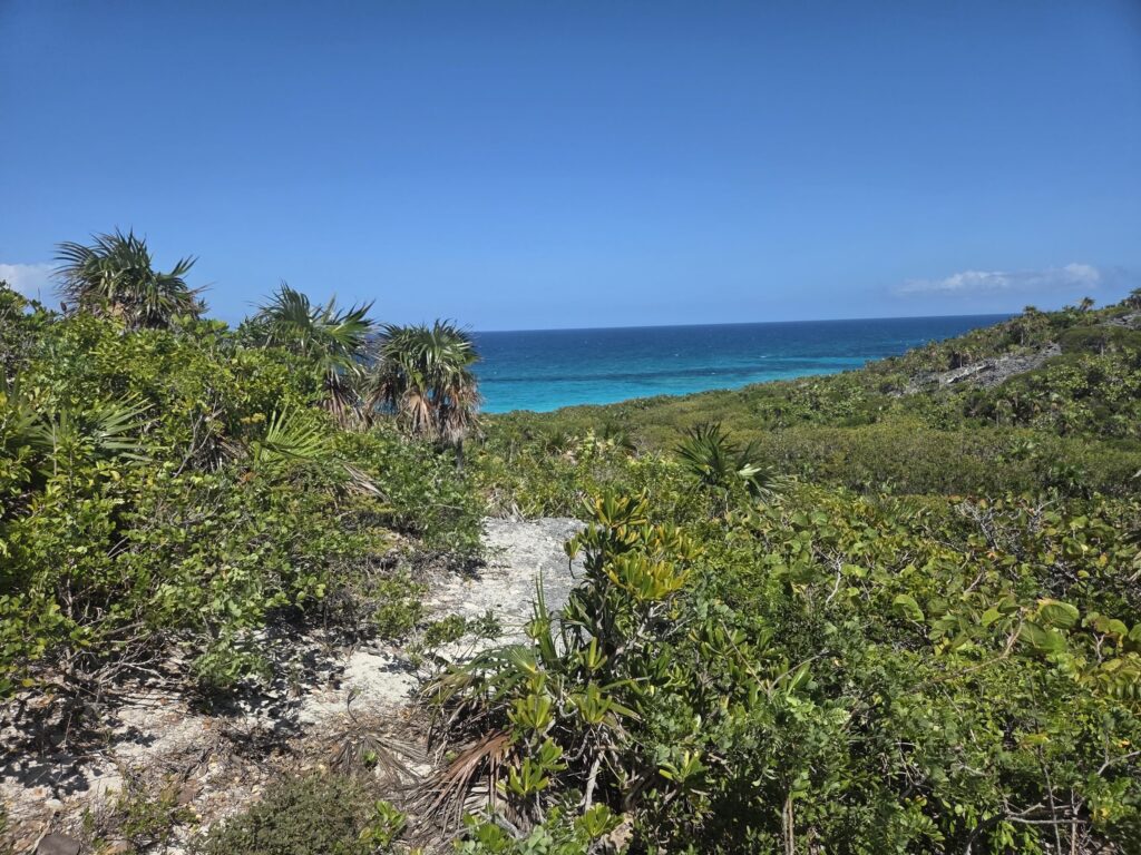 Green scrub ridge overlooking turquoise water and cays