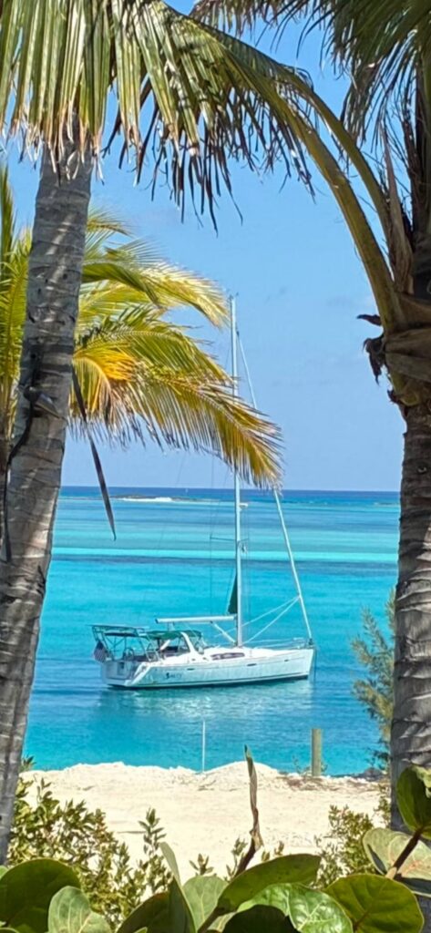 SV Salty at anchor in bright turquoise water, framed by palm trunks and fronds, seen from a white-sand beach with green leaves in the foreground.
